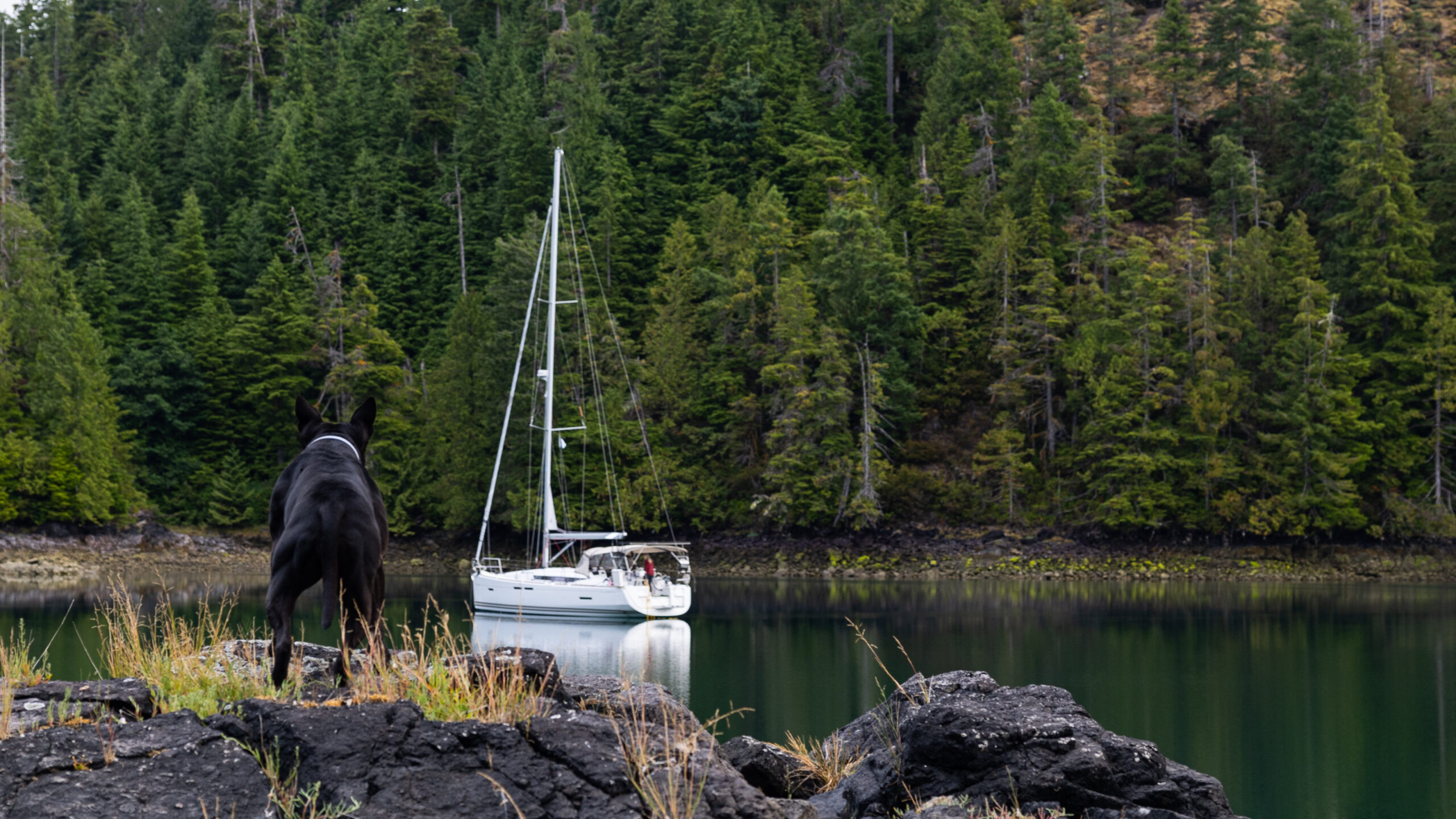 Sailing BC - photos of sailing and nature in British Columbia, Canada